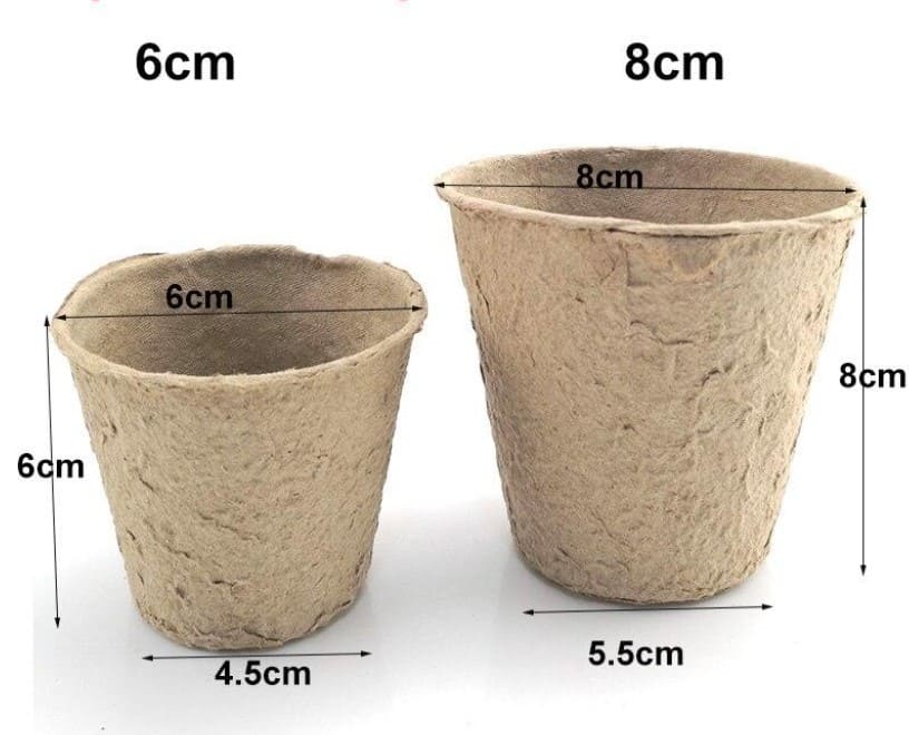 Пилосос переваги