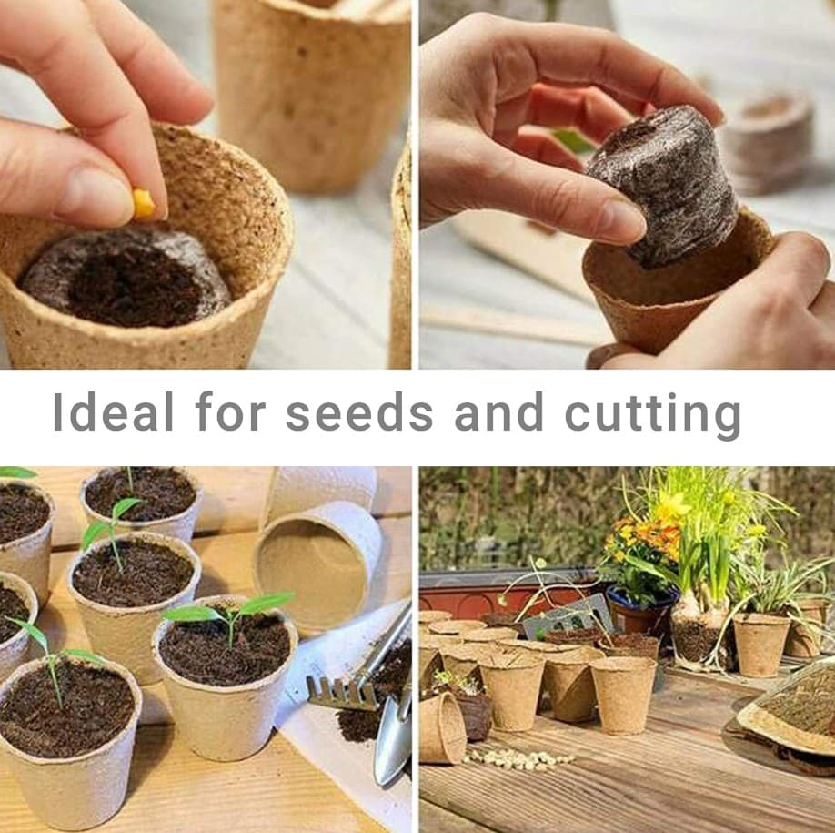 ШефМайстер