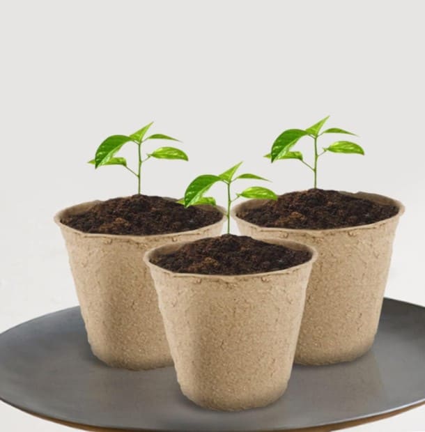 Пилосос переваги