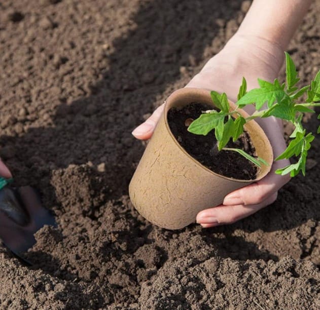 Пилосос переваги