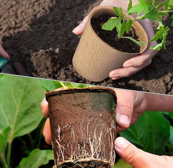 Пилосос переваги